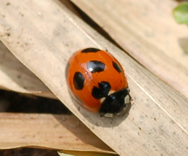 b0070071_955766.jpg