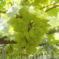 c0035297_22524940.jpg