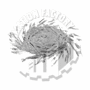 f0059498_765847.gif