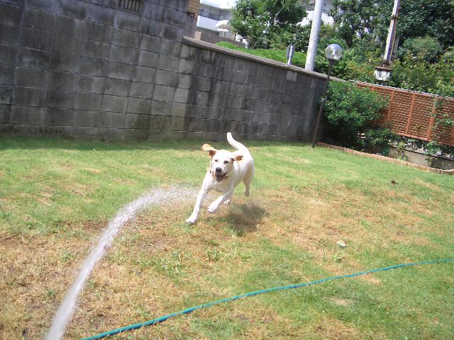 d0091700_1920164.jpg