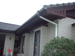 雨にも負けず・・・♪_f0031037_19382160.jpg