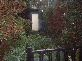 雨にも負けず・・・♪_f0031037_1940612.jpg