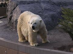 f0035142_223349.jpg