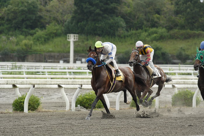 2006年9月10日（日） 高知競馬 赤岡修次騎手の日_a0077663_4281295.jpg