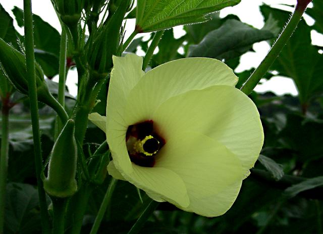 a0044076_20412893.jpg