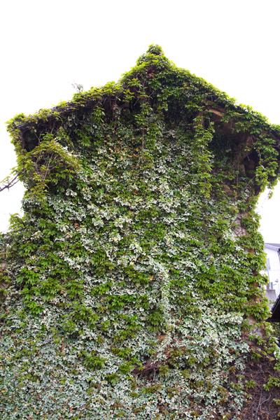 c0054876_6104394.jpg