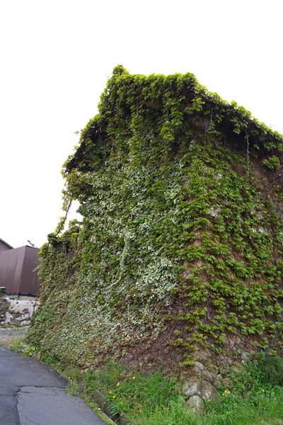 c0054876_6114371.jpg