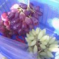 c0035297_031966.jpg