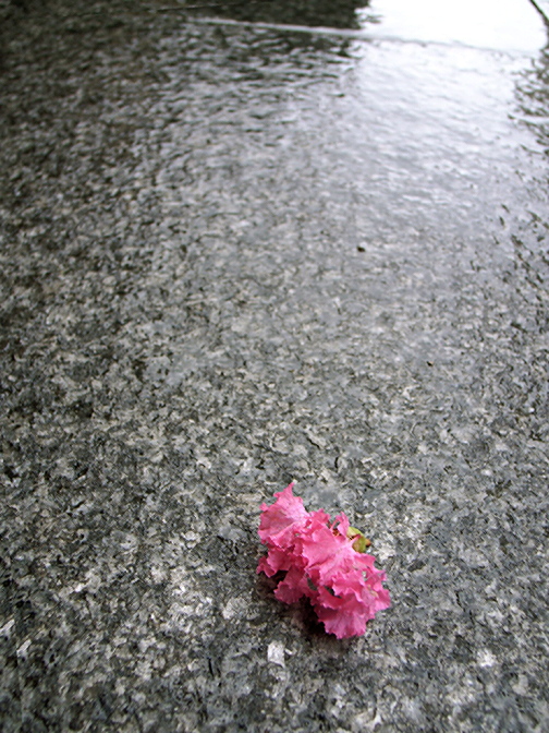 c0015099_13361582.jpg