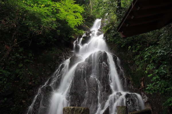 c0089419_22421646.jpg