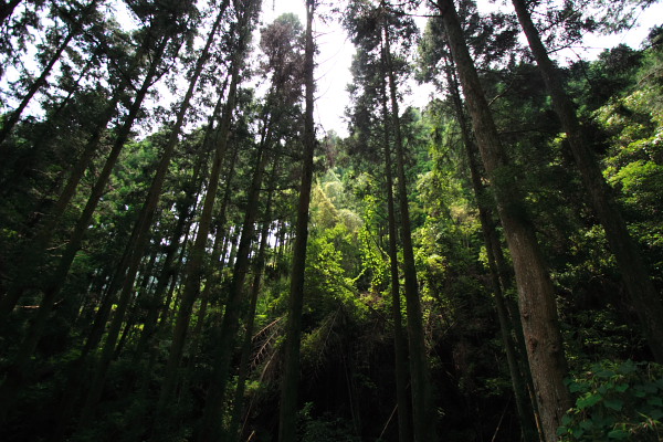 c0089419_22445939.jpg