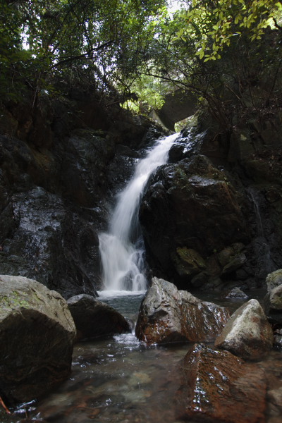 c0089419_2251595.jpg