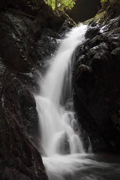 c0089419_22572954.jpg