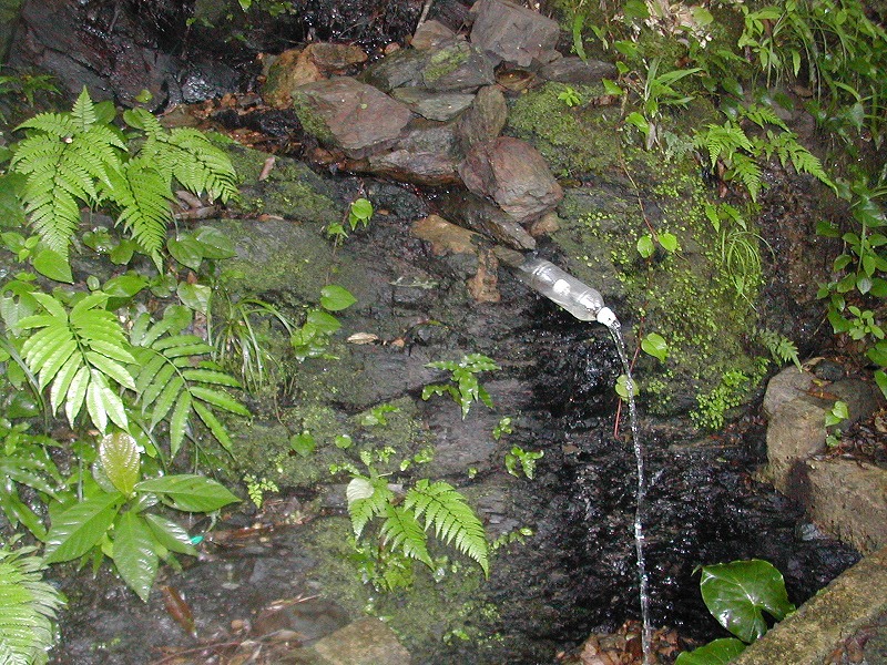e0062635_19413231.jpg