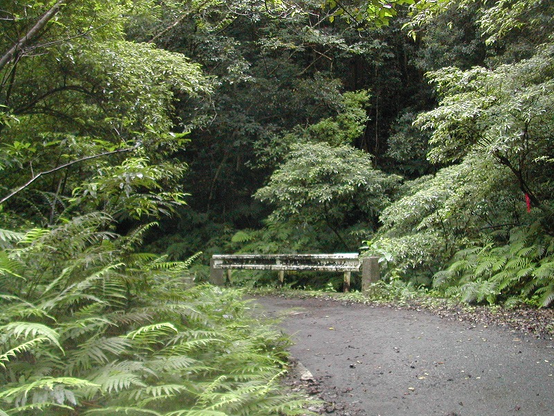 e0062635_1942189.jpg