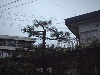 まずい!!ぅぅぅぅ_f0031037_16481346.jpg