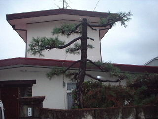まずい!!ぅぅぅぅ_f0031037_16482117.jpg