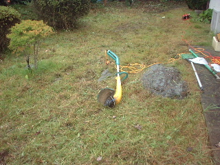 まずい!!ぅぅぅぅ_f0031037_16504338.jpg