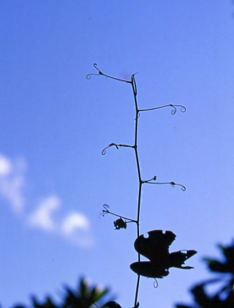 f0079943_15594530.jpg