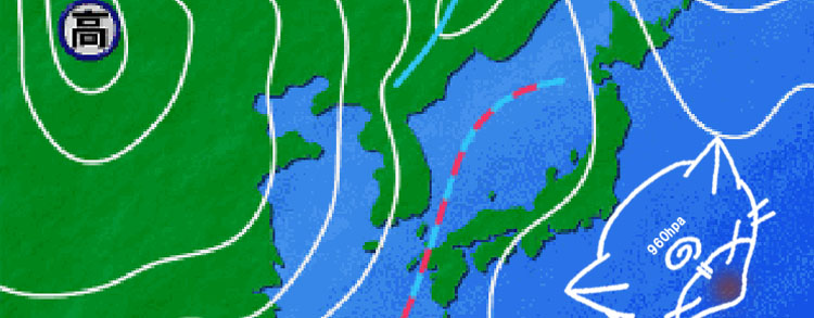 2006年秋第１段スキン_b0083251_2303710.jpg