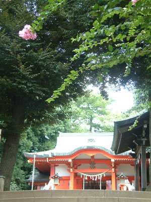 自由ヶ丘の熊野神社_c0050264_1150335.jpg