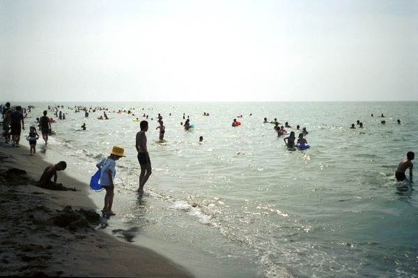 e0023068_35057.jpg