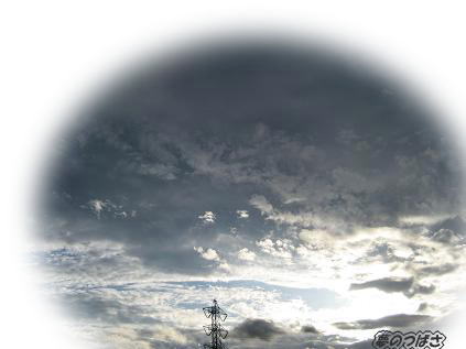 f0054187_18463.jpg