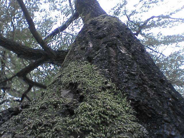 d0071507_18472246.jpg