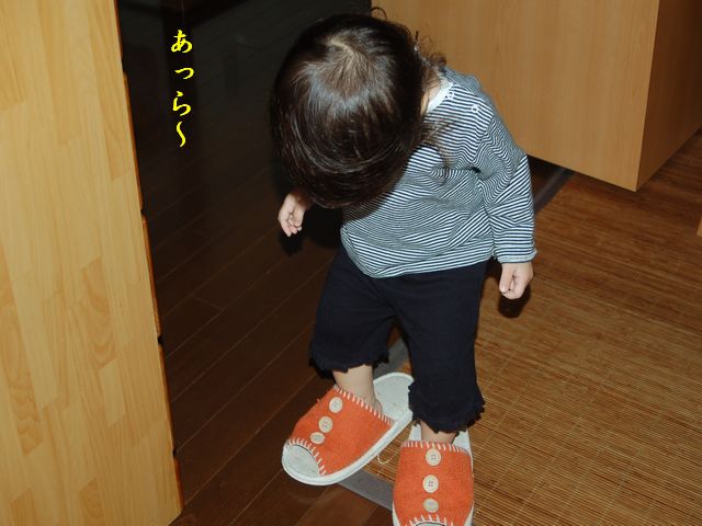 e0094407_1111149.jpg
