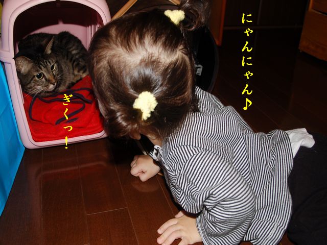 e0094407_1314849.jpg