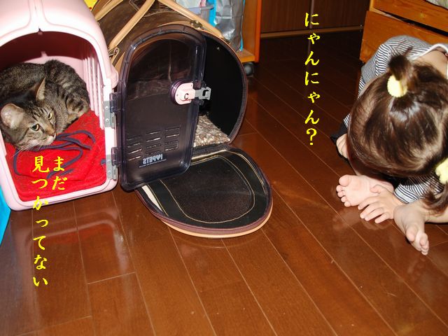 e0094407_131636.jpg