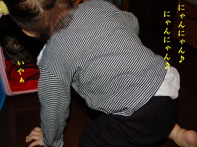 e0094407_132442.jpg