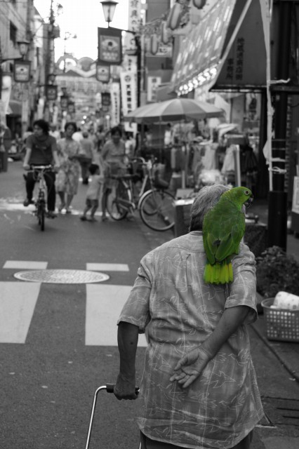 c0071611_7370100.jpg