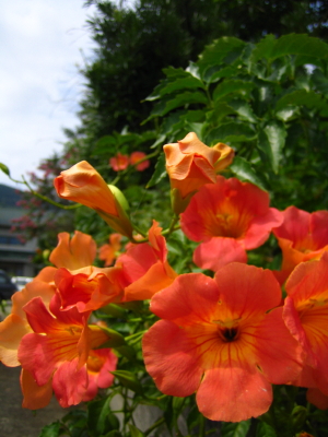 今日は一般質問_d0047811_221956100.jpg