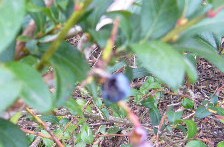 f0041447_23293033.jpg