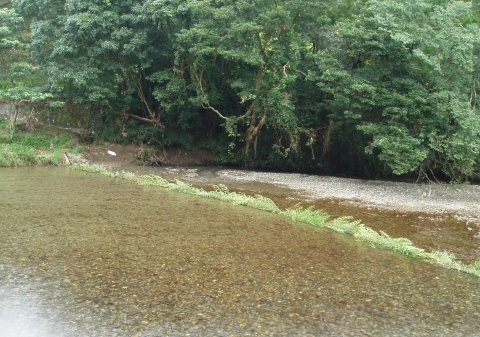 北川の支流（ホタルの名所）_e0094349_8235019.jpg