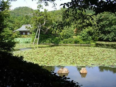 2006年9月15日(金)・・・京都旅行3日目_f0060461_20272698.jpg