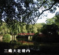 a0052666_112909.jpg