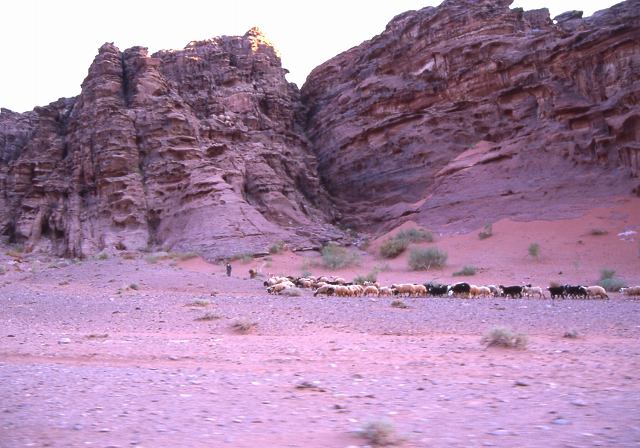 赤い大地の遊牧 写真でイスラーム 赤い大地の遊牧 写真でイスラーム