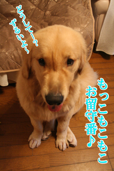 e0072606_610334.jpg
