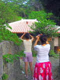 再び沖縄 パート3_d0046025_8225084.jpg