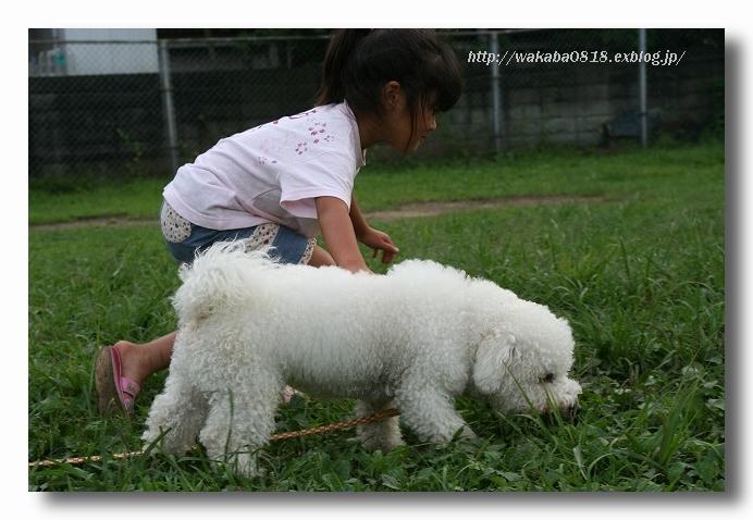 犬のお友達_e0052135_21441747.jpg