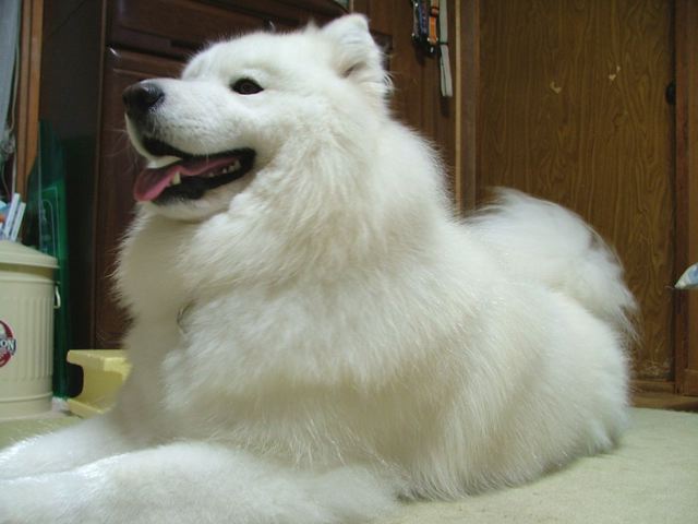 a0057237_23444321.jpg