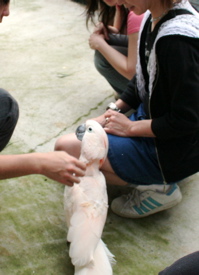 a0058941_21594540.jpg