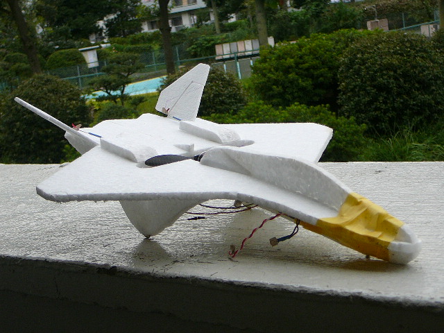 Toratanu YF-23 黒猫　秋空を翔ぶ_d0067943_17414370.jpg