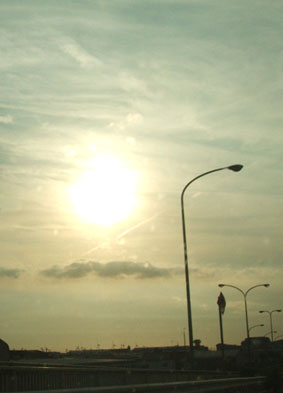 d0025545_1145950.jpg