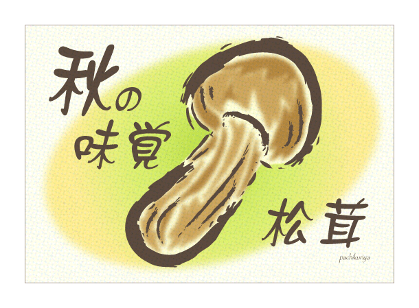 松茸のイラスト Kami Kitaのpopなblog