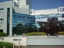 f0030155_9131992.jpg