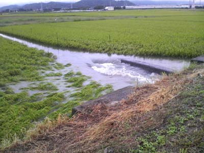 明日の台風が心配_a0040593_21593566.jpg