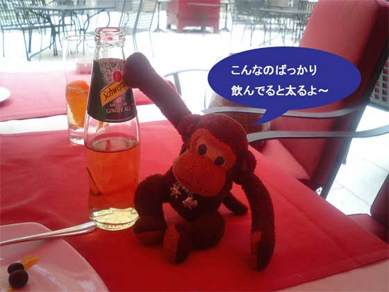 f0036603_2329740.jpg